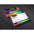 Hot sell factory clear frosted plastic business cards